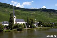 Asfaltni reli sa otežavajućom okolnosti – ADAC WRC