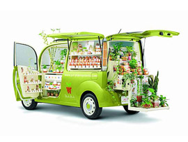 Suzuki Alto Heart Stand