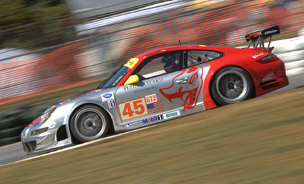 flying lizard
