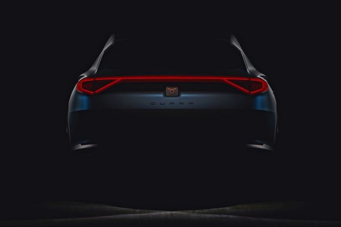 19cupra_terramar
