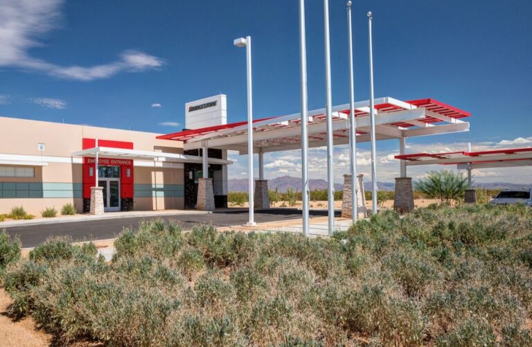 Bridgestone pravi penumatike od pustinjskog žbunja